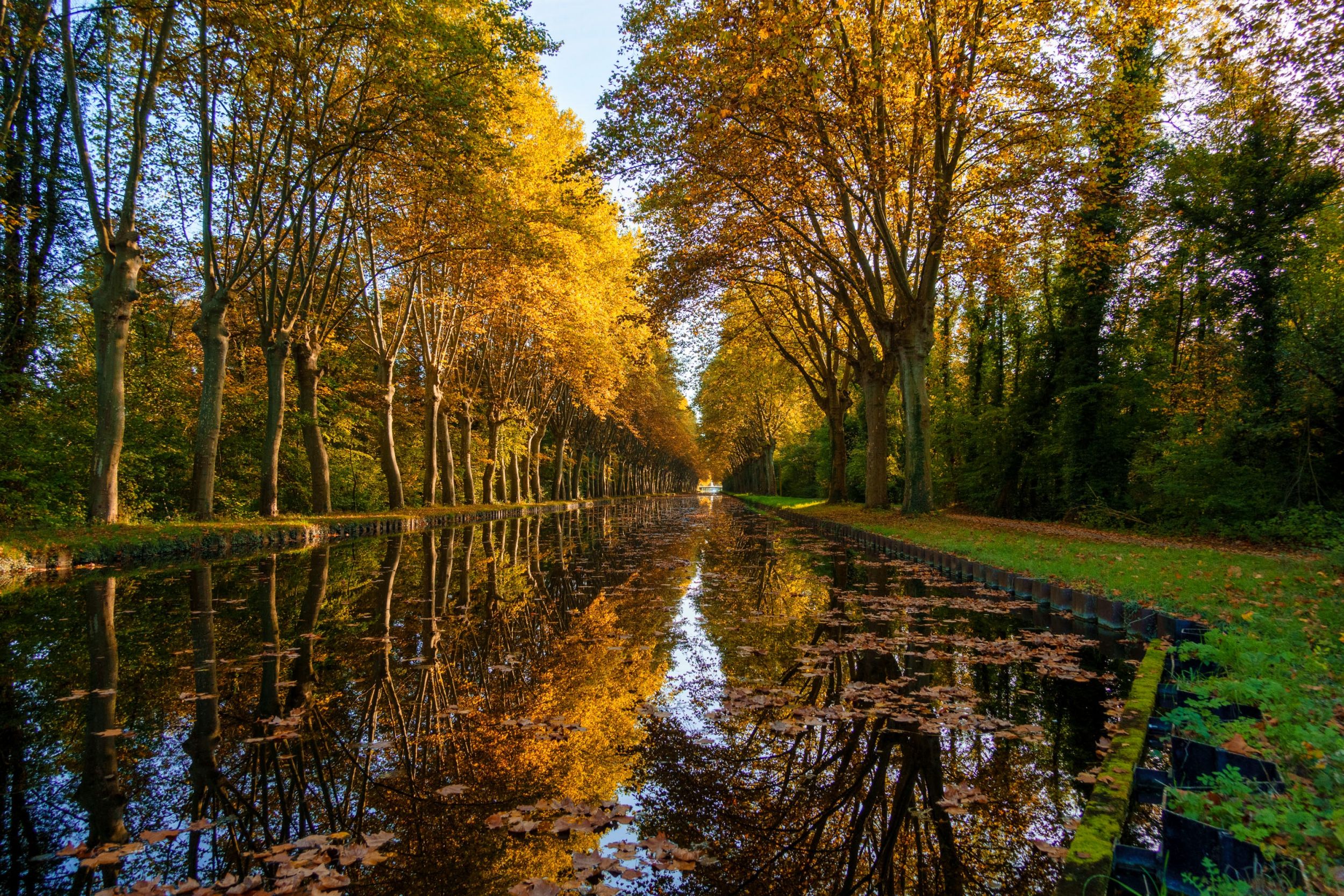 Herbst am Canal